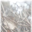 대유랜드 이미지