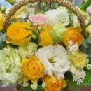 상원농원 이미지