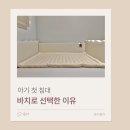 범퍼 - 영등포구 영중로 20 | 바치 Joi Bumper Bed 범퍼침대 구매 후기, 데이베드 대신 선택한 이유