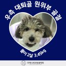 언제나동물병원 이미지