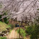 장무공원 화장실 이미지