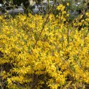 GS25 강릉노암점 이미지