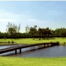 인천국제컨트리클럽 이미지