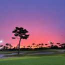 파인스톤컨트리클럽 | 서해안 낙조가 일품인 곳 파인스톤CC