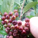 세찬농장 이미지