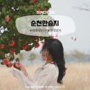 어론천 생태습지 주차장 | 순천만습지 생태체험선 4월 5월 갈대열차