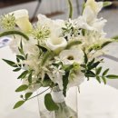 마음쉴꽃 - 남양주시 별내중앙로 26 | [Wedding#번외] 웨딩촬영부케 쉴꽃 추천후기 (내돈내산)