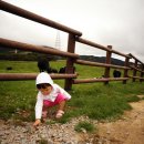 은호목장 이미지