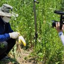 이수민농장 이미지