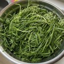 대야팜 | GAP 인증 추추팜 국산 부추 4kg! 효능 좋은 부추로 만든 집밥 반찬 후기