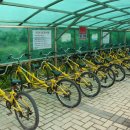 (주)시래기밥상 이미지