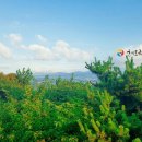 사라봉한의원 이미지