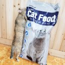 코코캣 | 고양이 가성비 마트사료 코코캣 캣푸드 고양이사료 급여후기