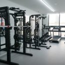 엠스바디짐 이미지