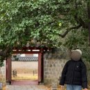 수도고속관광여행사주 | 전주여행 모음집