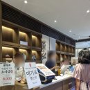 수경이네수제돈가스 | 추어탕 가족 여름 몸보신 추천 청담추어정 방문후기