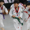 라이온 태권도장 이미지