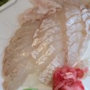 충무회초밥 티스토리