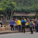 하성초등학교 이미지