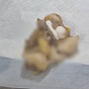 상일 쓰담쓰담 동물병원 네이버블로그