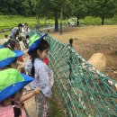 하이얀목장 이미지