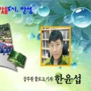 최용소선생묘 네이버블로그