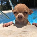 효림세탁 | 제 27회 부산국제영화제 자원봉사 일기