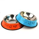 예스예스애견 이미지