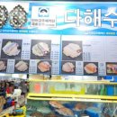 돌고래회