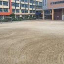 서울미성초등학교 이미지