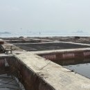 천수만로 이미지