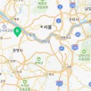 스타일독앤캣 강아지고양이 부천본점 이미지