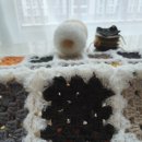 리틀스퀘어 이미지