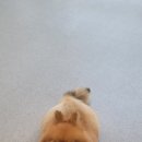 몽몽솔솔 이미지