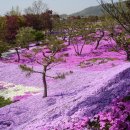 왕궁농장 이미지