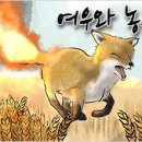 여우손 이미지