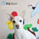 Happy 애견샵 이미지