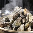 통영스토리 이미지