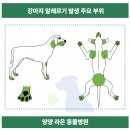 양양동물병원 이미지