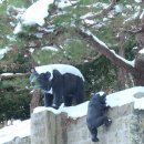 함평자연생태공원 이미지