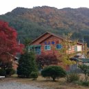 가고파밸리 이미지