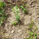 두곡농장 이미지