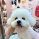 뭉미샵 이미지