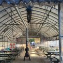 숲속의하모니 | 괴산 숲속의 하모니 캠핑장ㅣ스노우라인 새턴2룸 화이트 개시