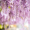 합도초등학교 이미지