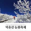싱여동럭셔리여행사 Daum카페