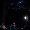 숲속 아지트 이미지