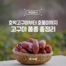 보성농산 | 가을·겨울 제철 고구마 품종 총정리-호박고구마부터 호풍미까지