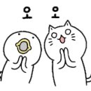 육사시미 콘서트 2 이미지