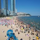 해운대해수욕장 이미지